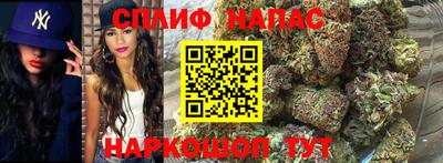 гидра Волжск
