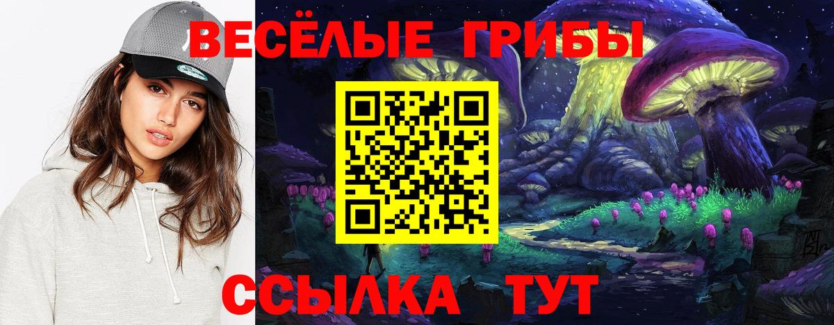 Псилоцибиновые грибы прущие грибы Евпатория