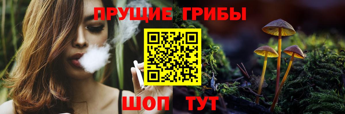 Евпатория  Псилоцибиновые грибы прущие грибы  Вход с VPN 